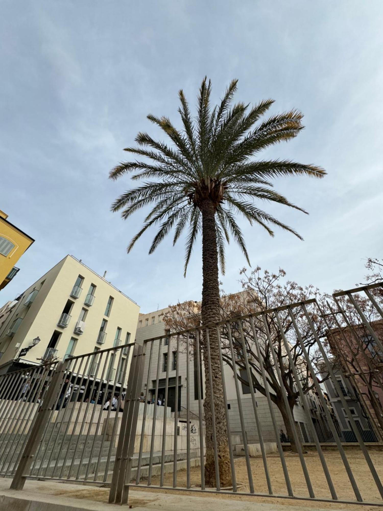 Nuevo Casco Antiguo, Playa Y Castillo Alicante Eksteriør bilde
